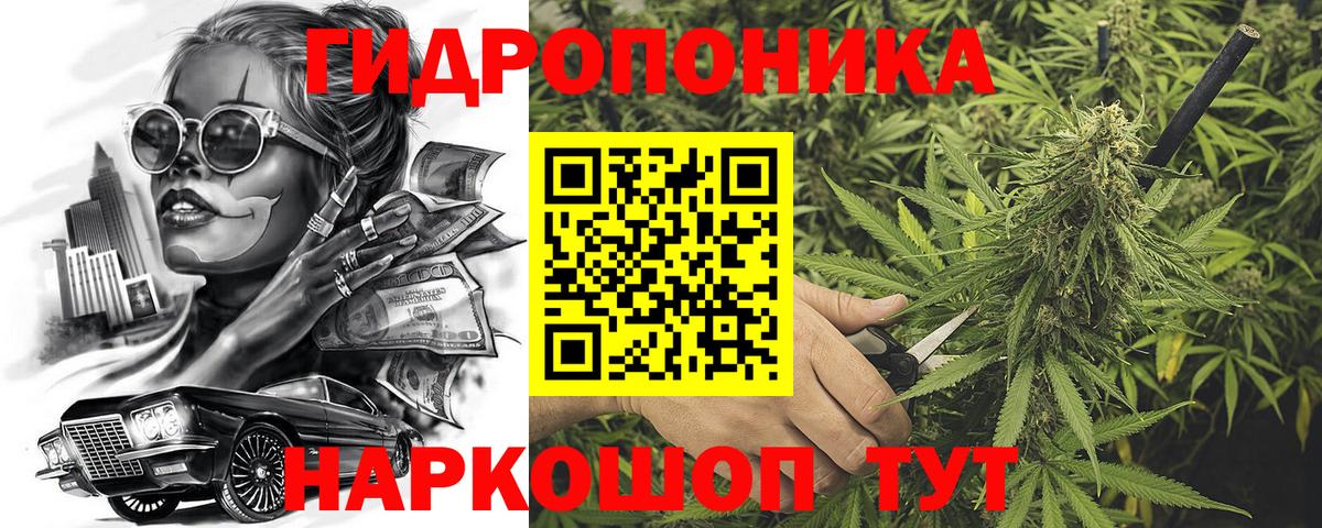 Фурманов  Конопля семена  Бошки марихуана White Widow  МАРИХУАНА ГИДРОПОН  Каннабис Ganja  Вход с VPN 